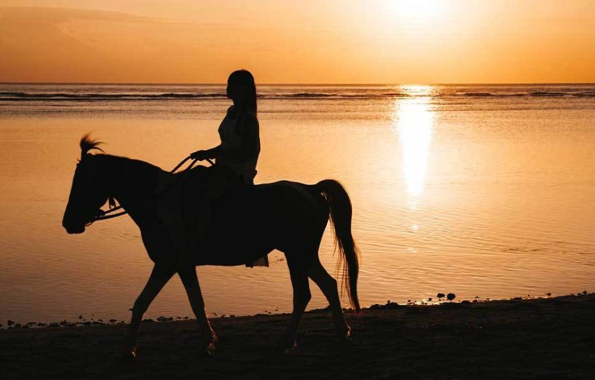 Horse Riding Tour Excursion in Egypt