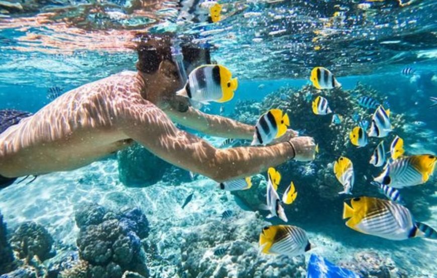 Sharm El Naga Snorkeling Hurghada Excursion in Egypt